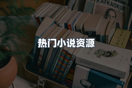 热门小说资源